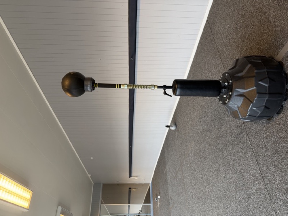 Kriger with red Kong toy