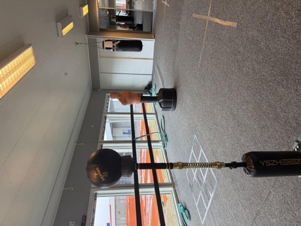 Reflex ball full view