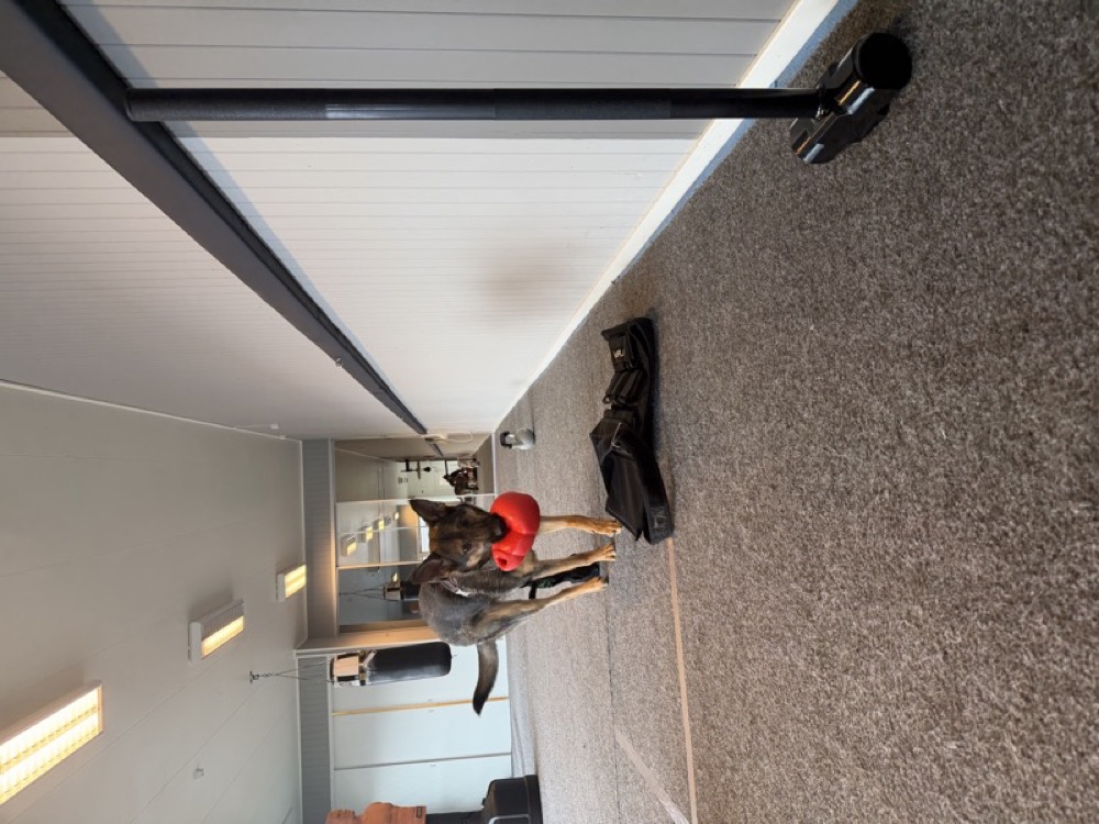 Kriger down the gym corridor