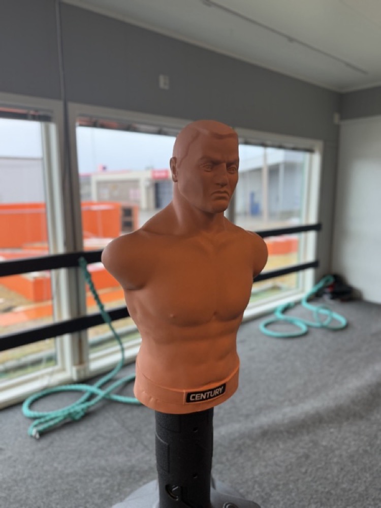 Century BOB close-up