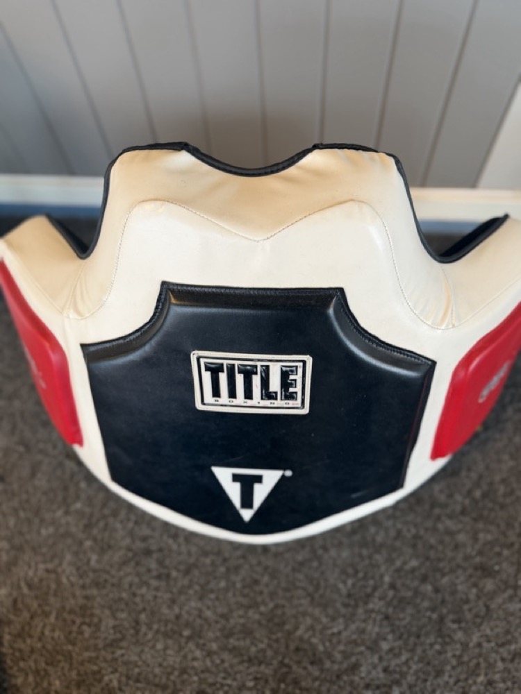 Title body protector