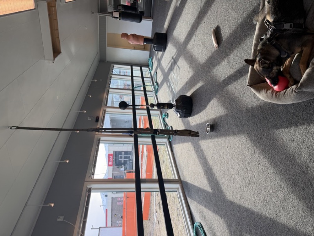 Kriger in bed with sunlight through gym windows