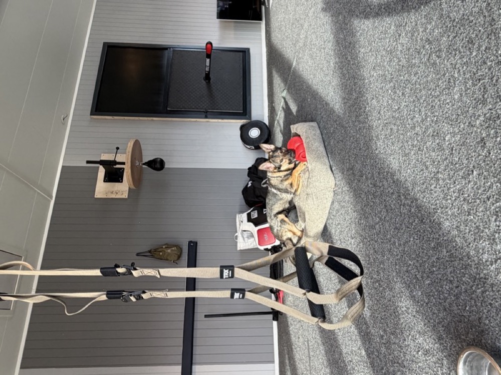 Wide angle with TRX straps